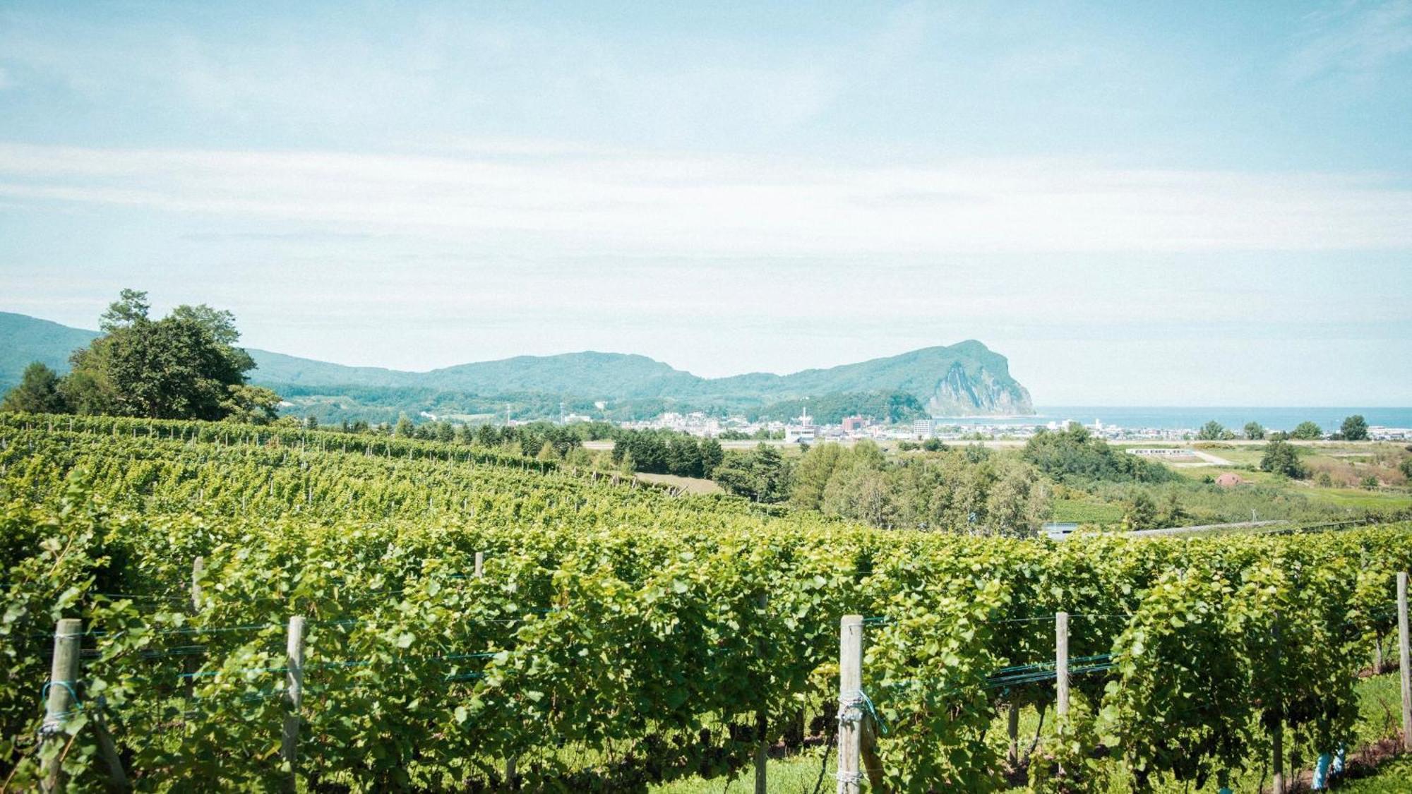Hotel Yoichi Vineyard Glamping Extérieur photo
